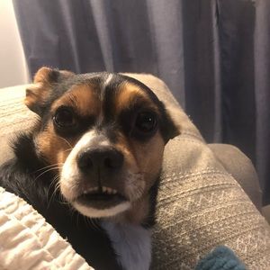 Meet your Posher, Meg